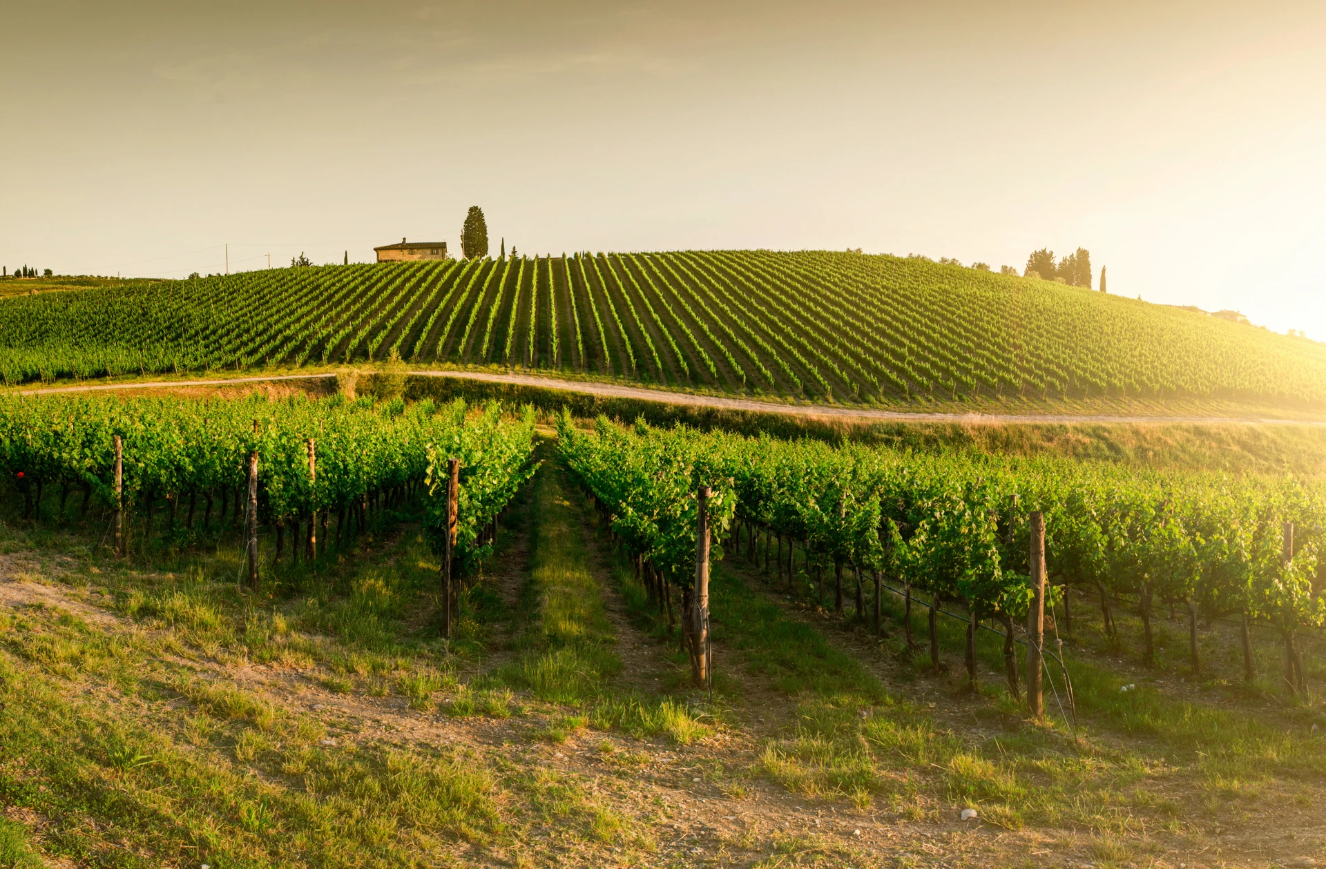 Luxury Tuscan Villa Private Group Escape