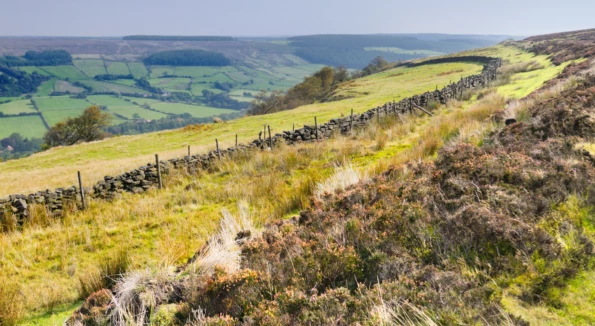 Experience Yorkshire