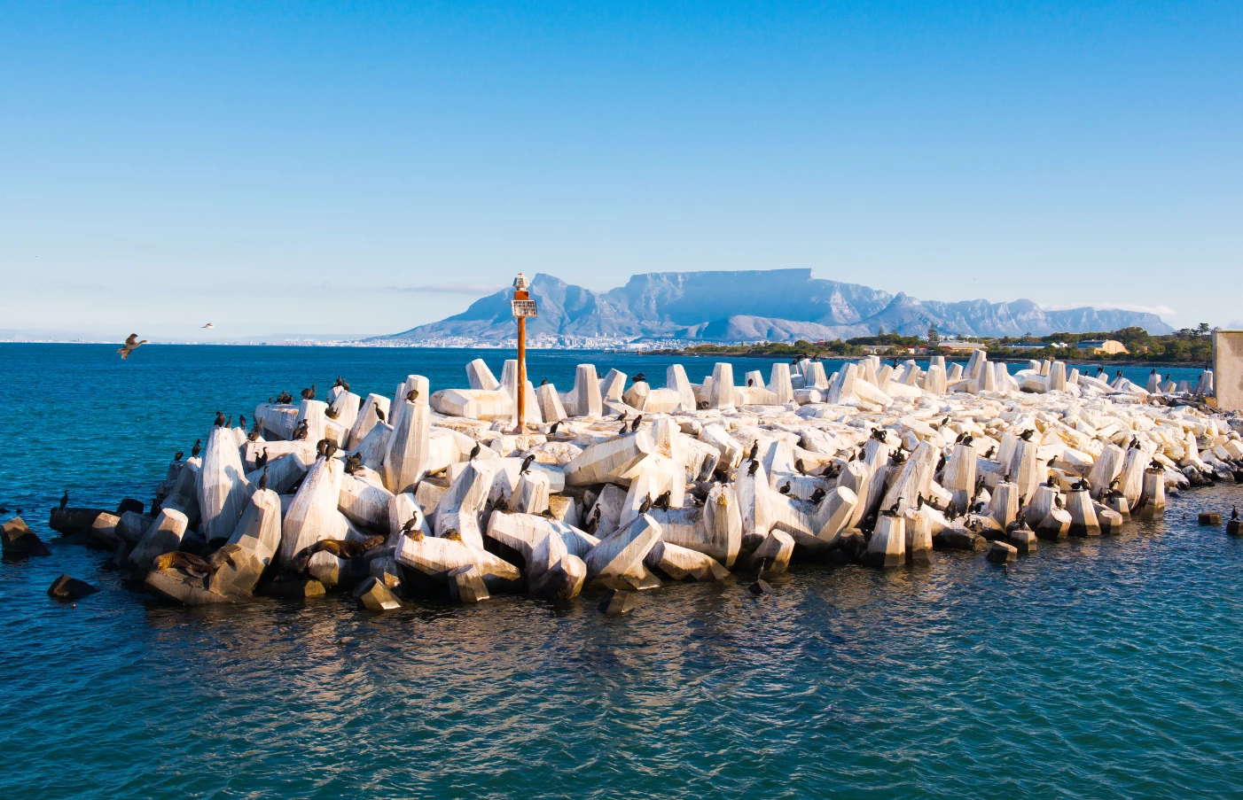 Luxury Robben Island vacations