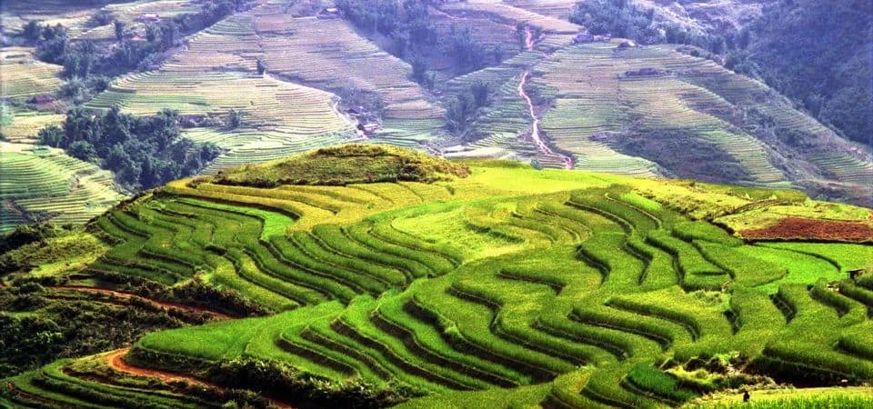 Vietnam