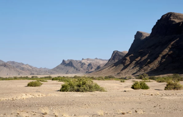 Day Eight: Wildlife Encounters & Desert Adventures