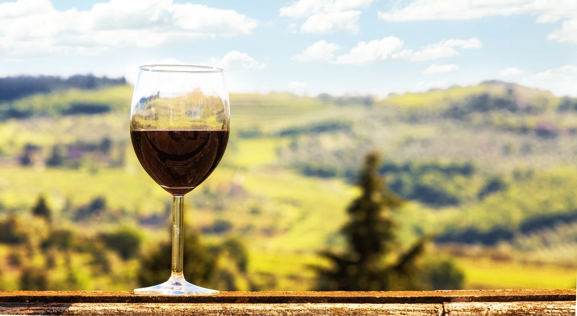 Wine Escape to Langhe, Barolo and Monferrato