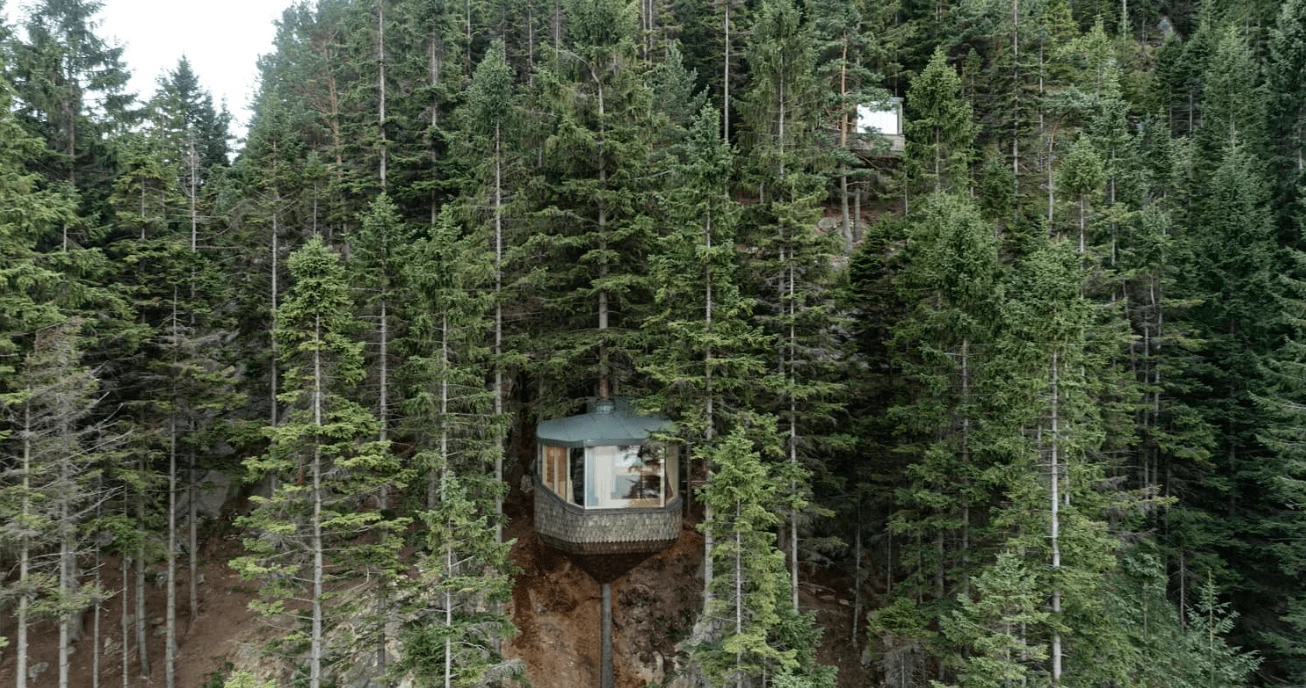 Woodnest