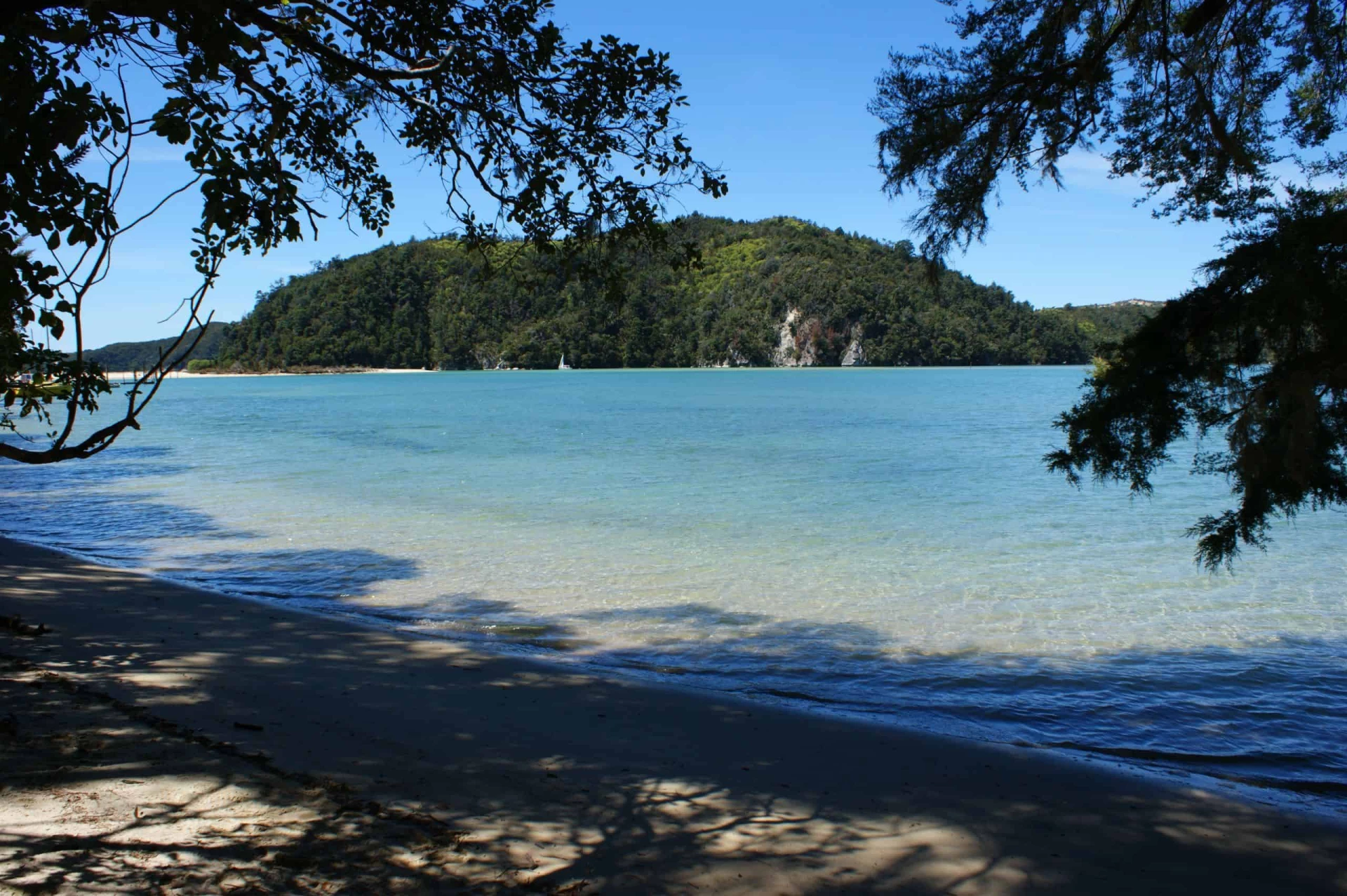 New Zealand Adventure