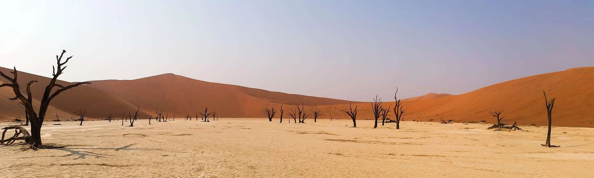 Day 5: Namib Desert