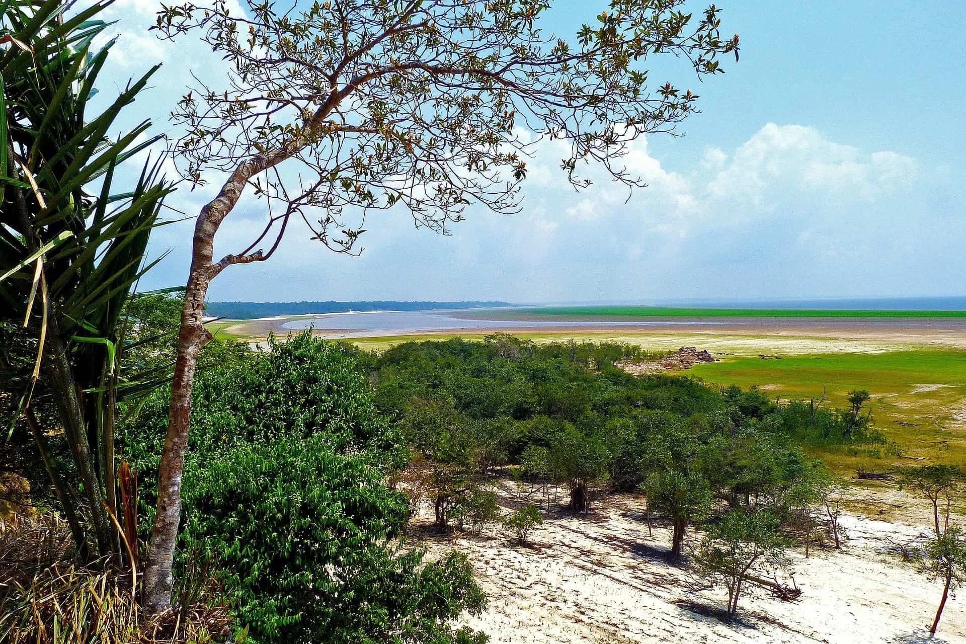 Brazil: Culture And Cuisine