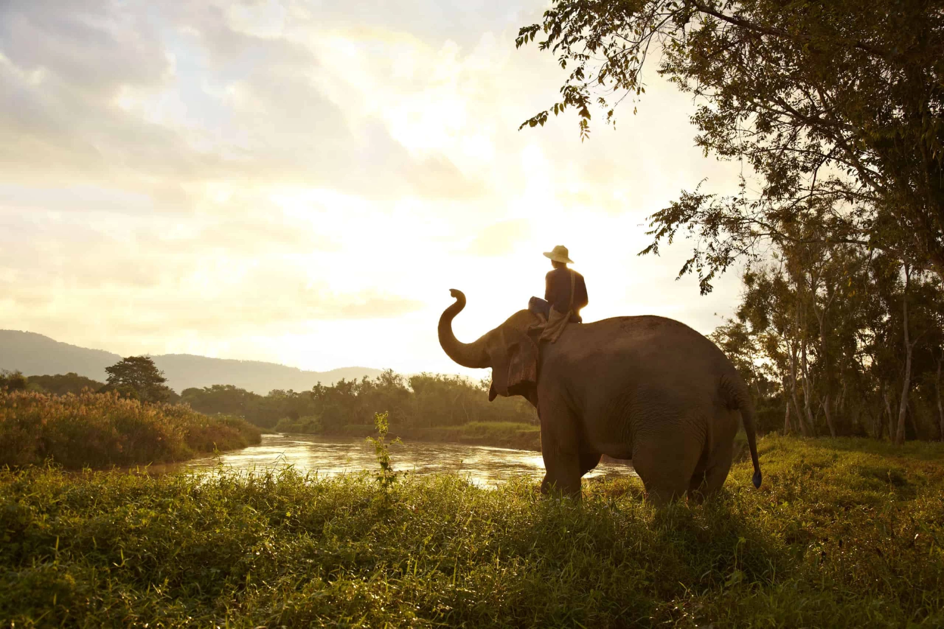 Days 4-7: Chiang Mai