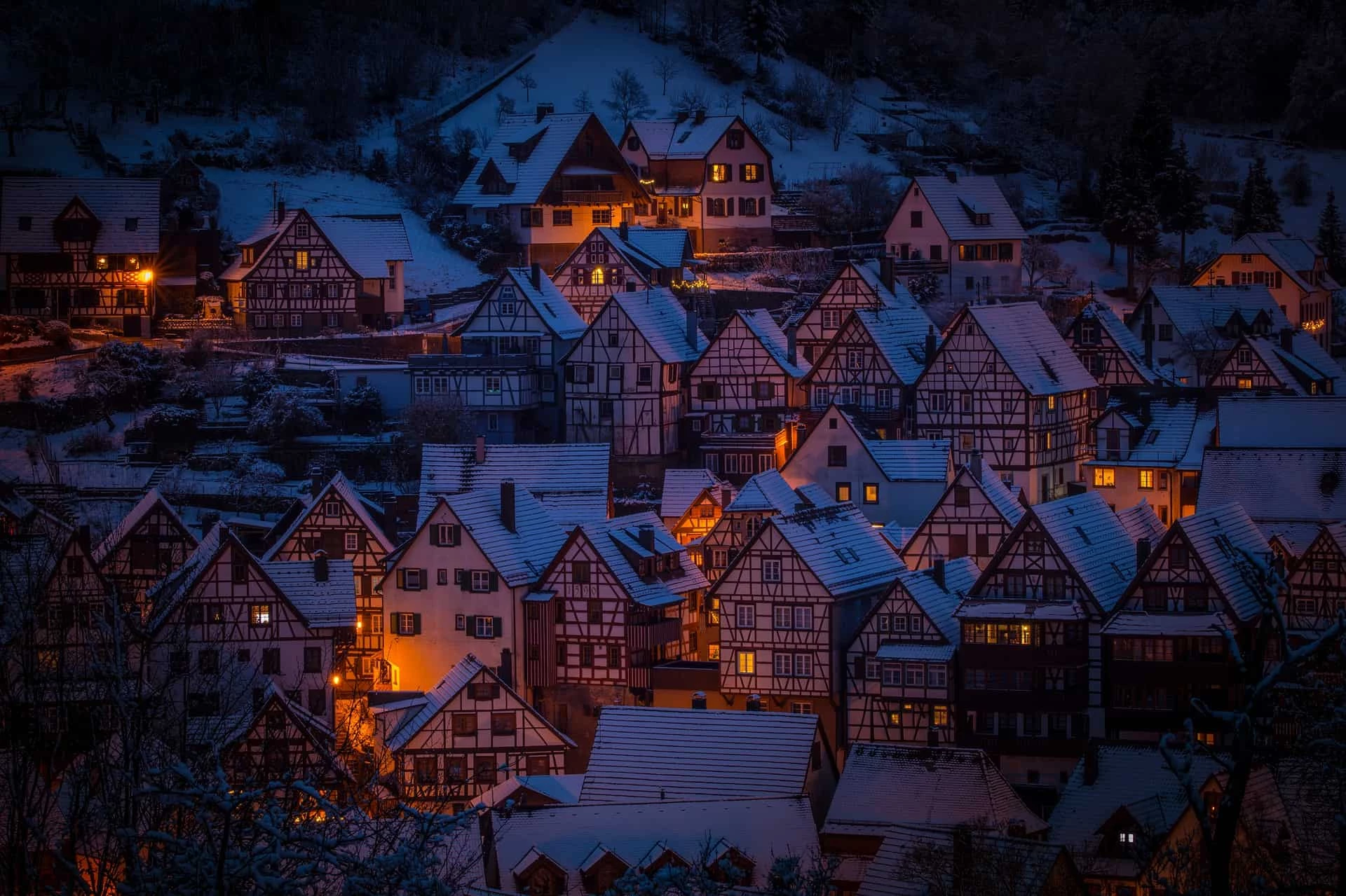Day 6: Black Forest 