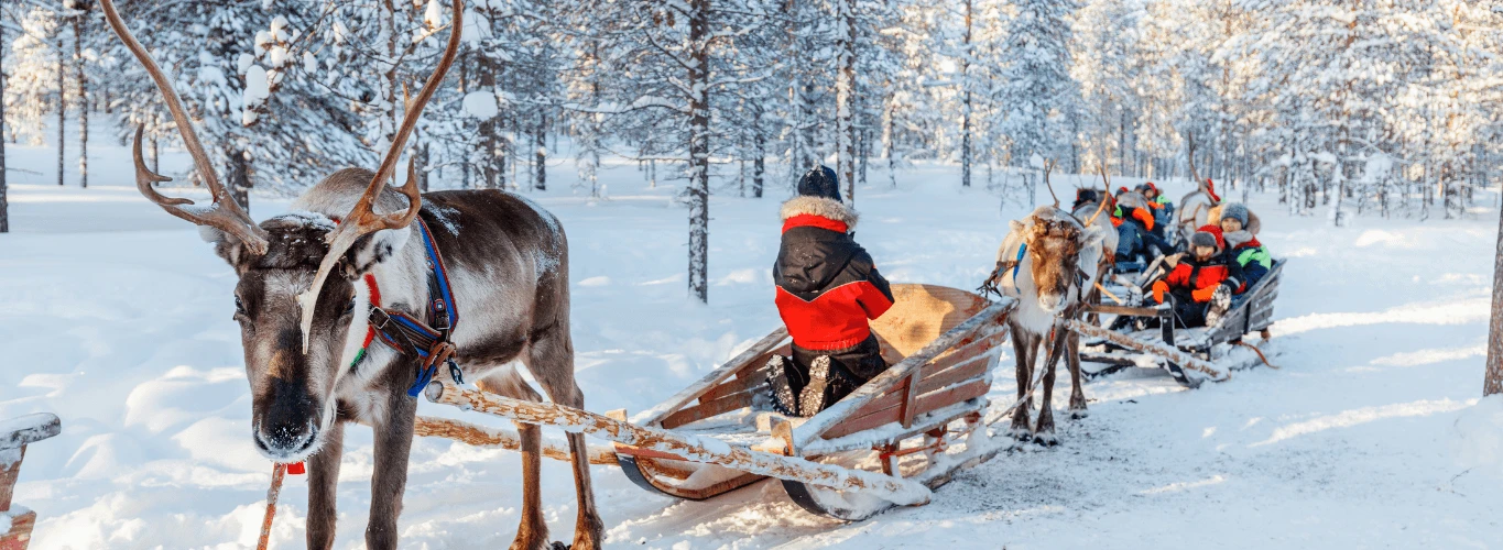 Adventures in Lapland