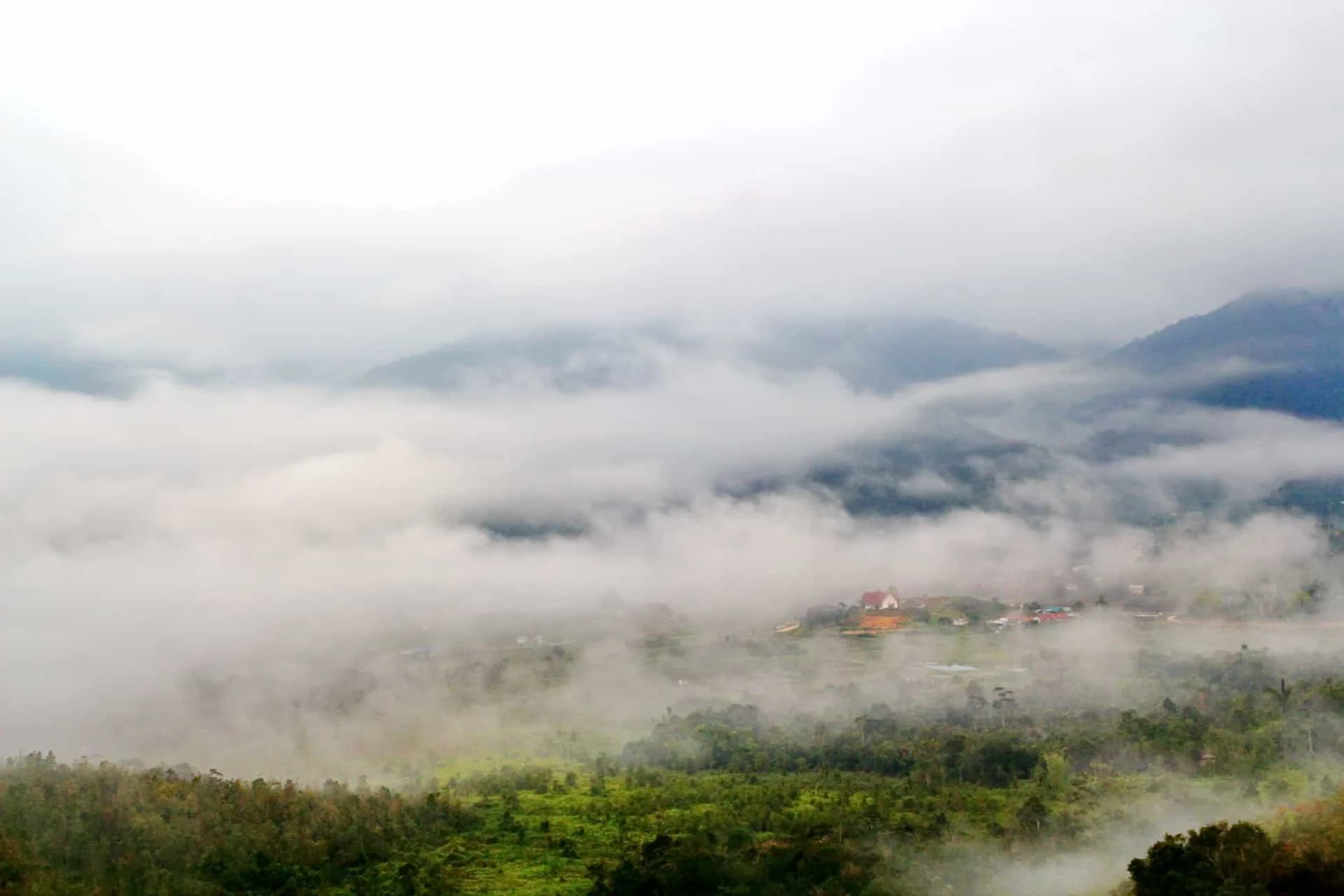 Day 8: Mulu