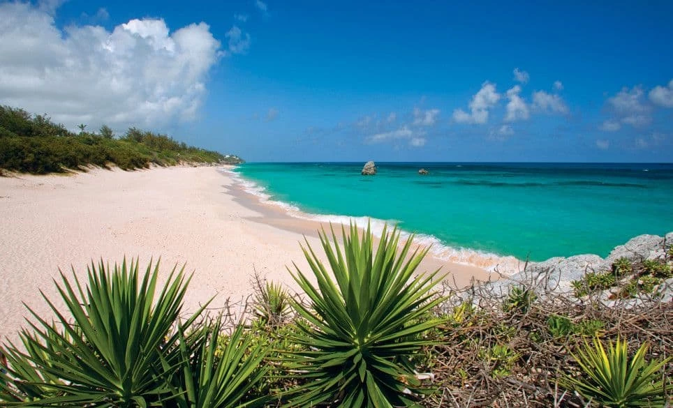 Luxury Bermuda: Why their same-sex marriage repeal needs to be challenged vacations