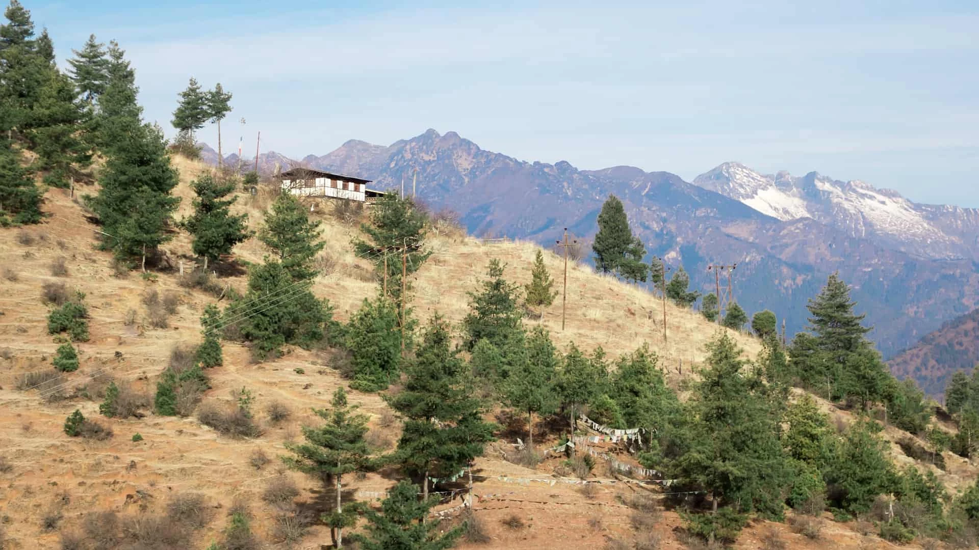 Day 2: Thimphu 