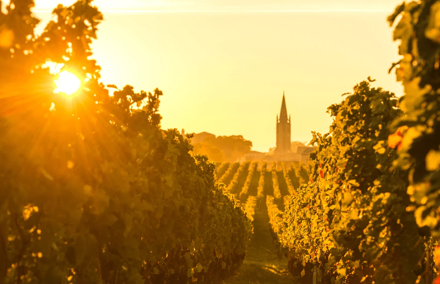 Days 6-8: Bordeaux