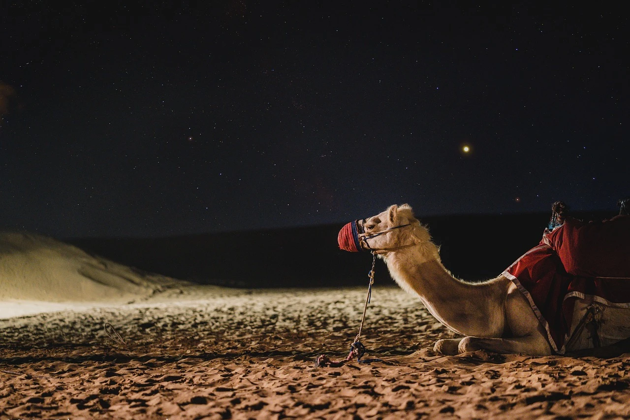 United Arab Emirates