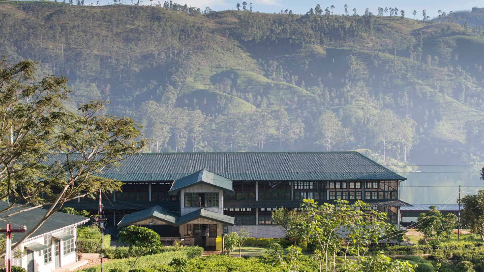 Ceylon Tea Trails