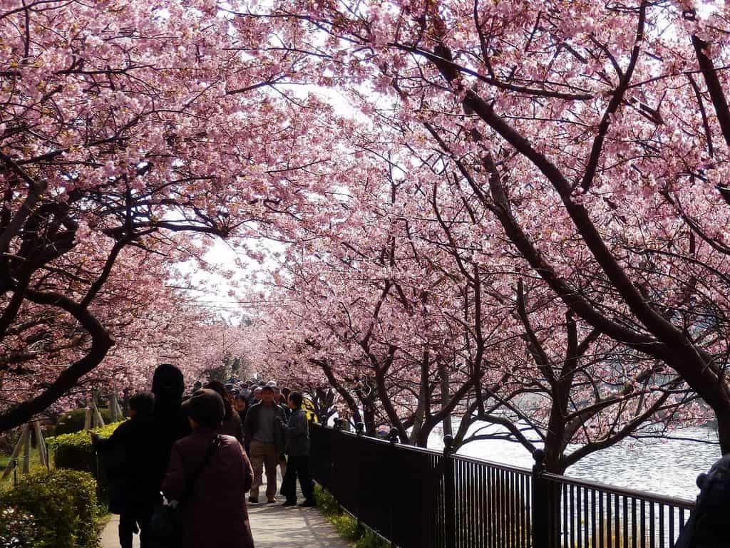 Japan