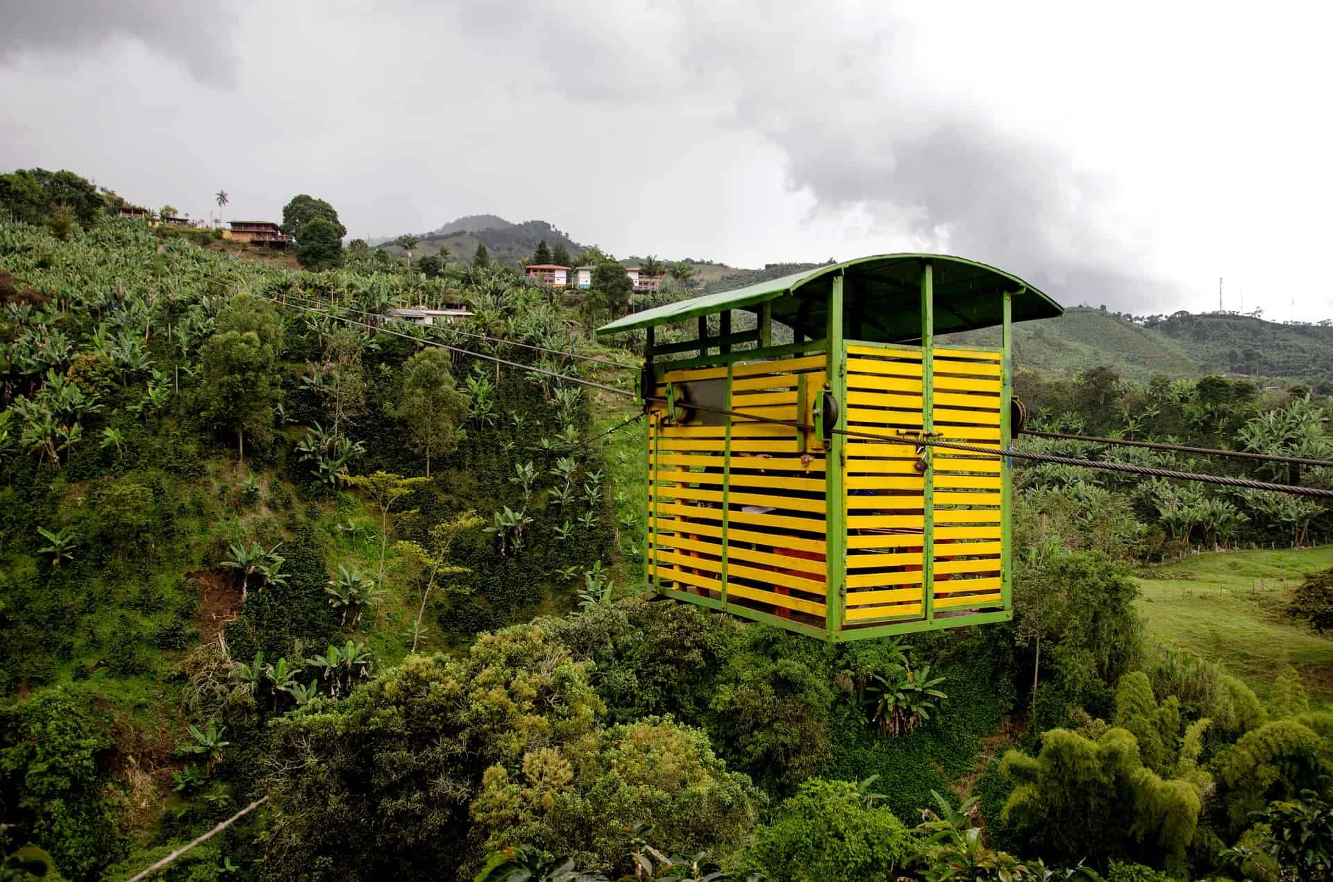 Day 5: Rio Claro 