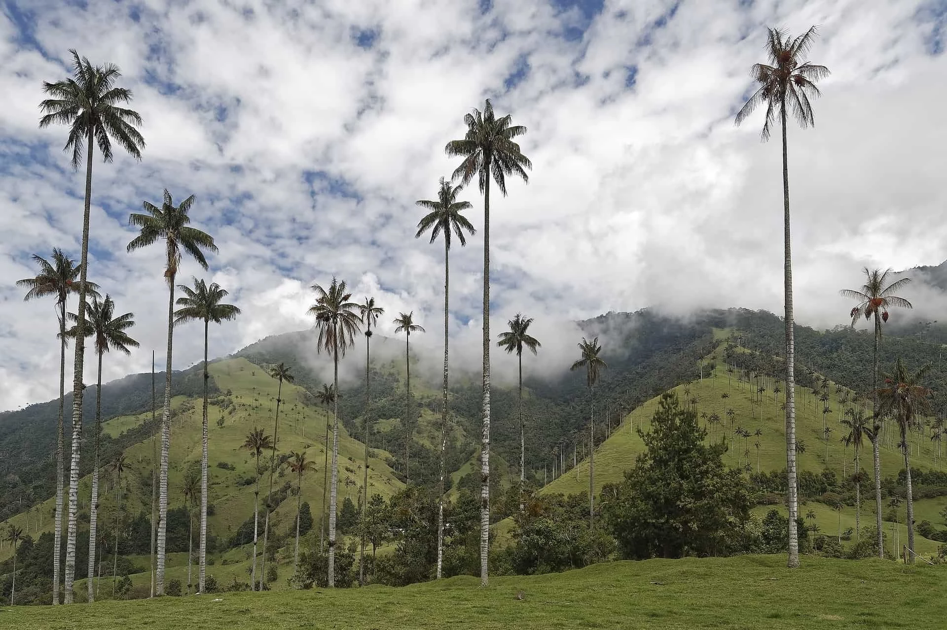 Day 4: Rio Claro