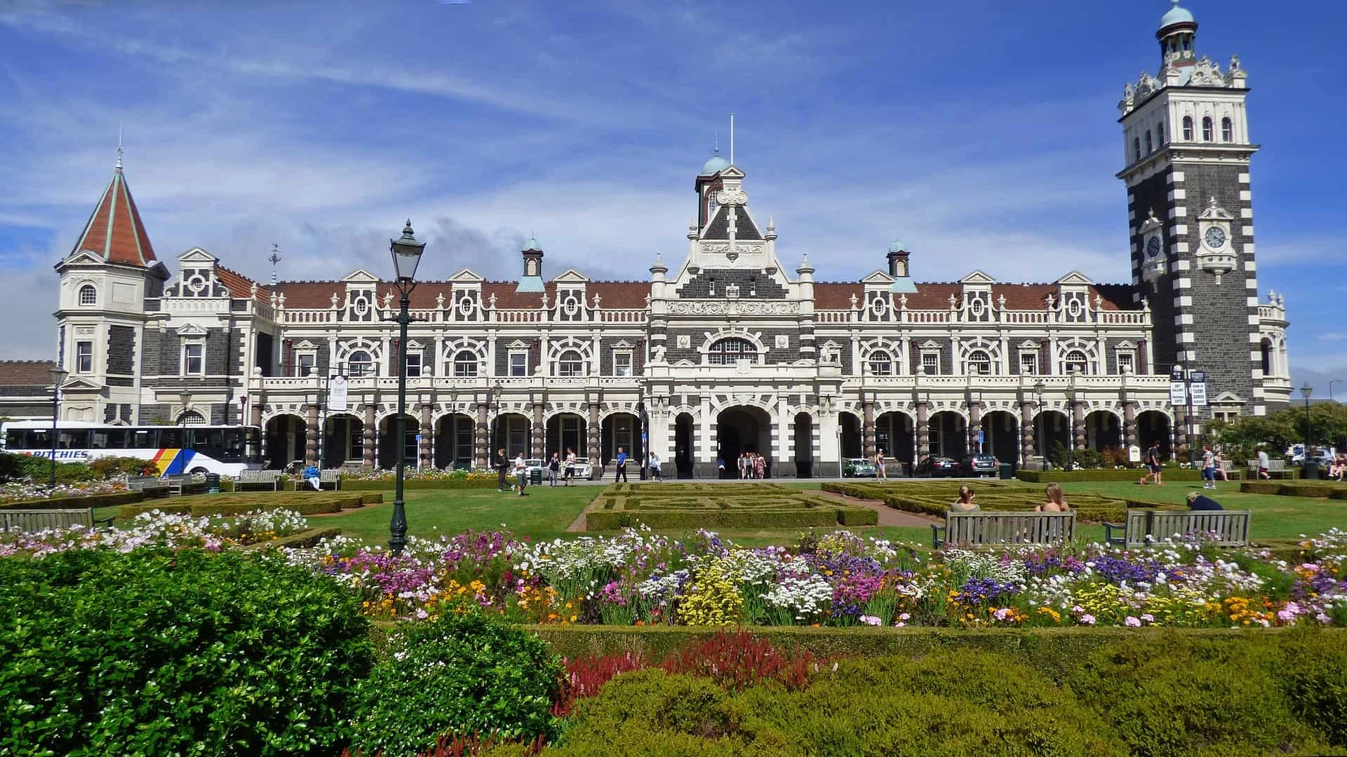 Day 7: Dunedin Wildlife Tours