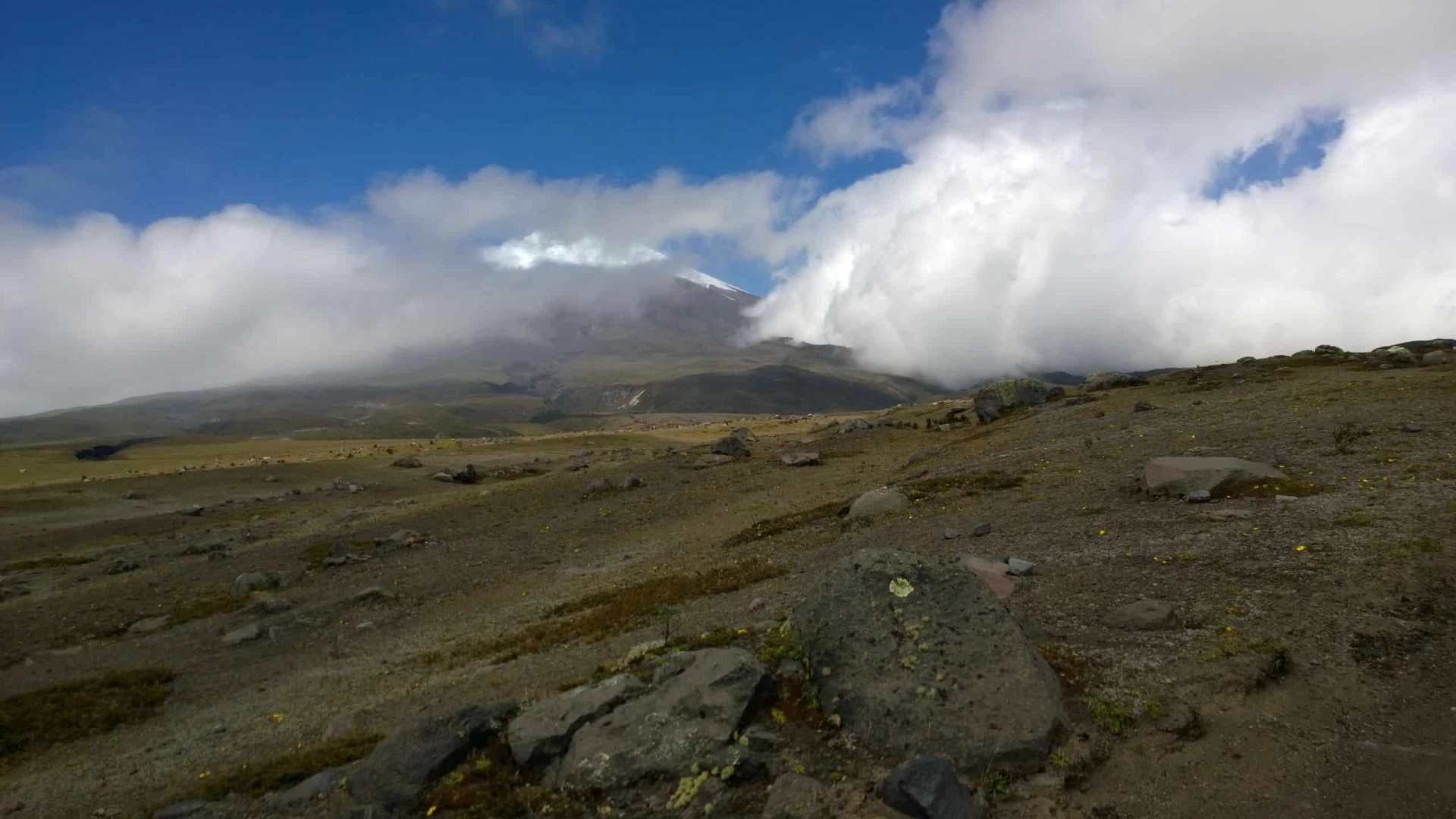 Gay Group Trip: Ecuador Adventure