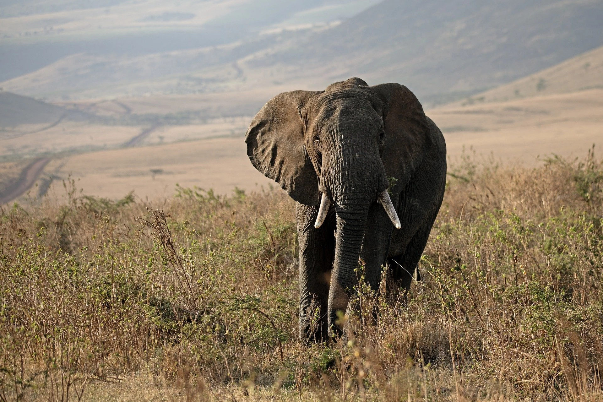 Luxury Tanzania vacations