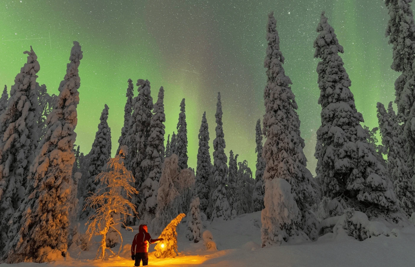 Arctic Treehouse Hotel
