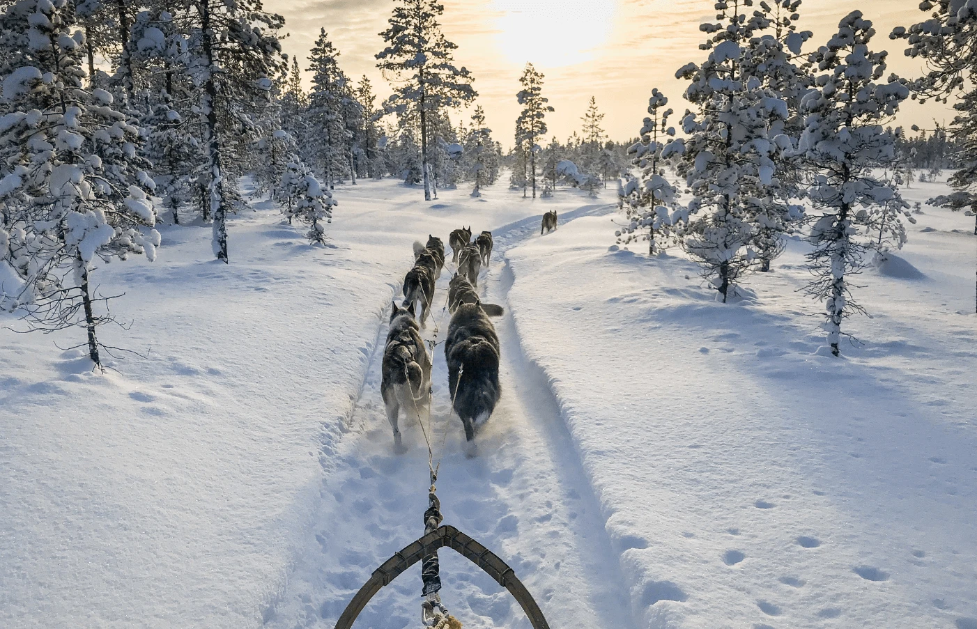Adventures in Lapland