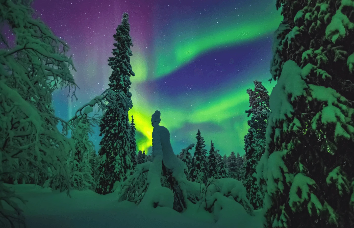 Adventures in Lapland