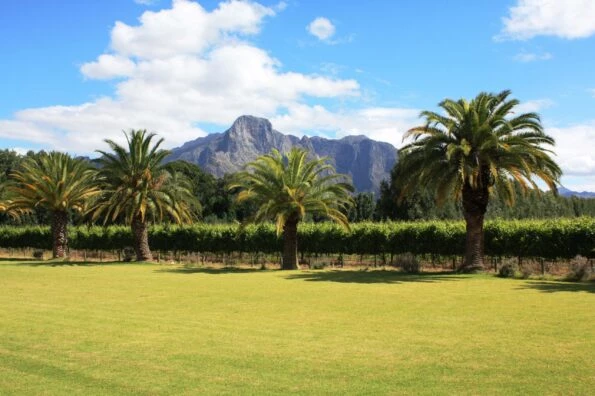 The Franschhoek Wine Tram