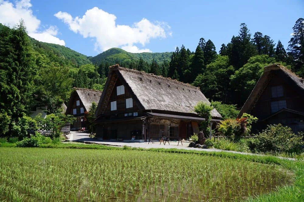 Day 6: Shirakawago