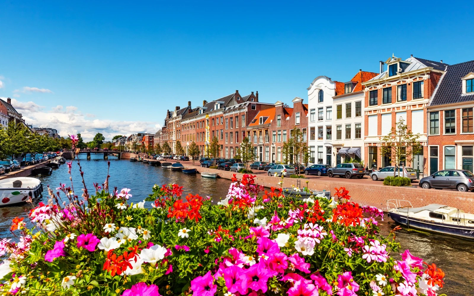 Day 2: A Day Trip to Haarlem
