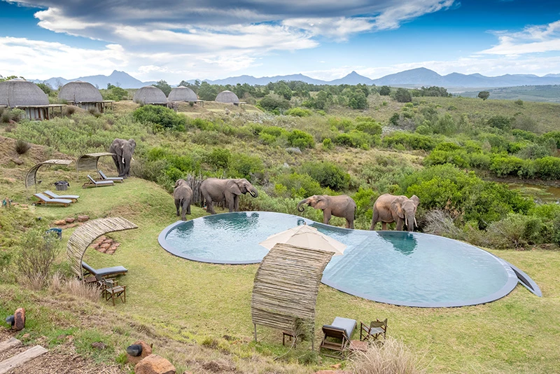 Gondwana Game Reserve