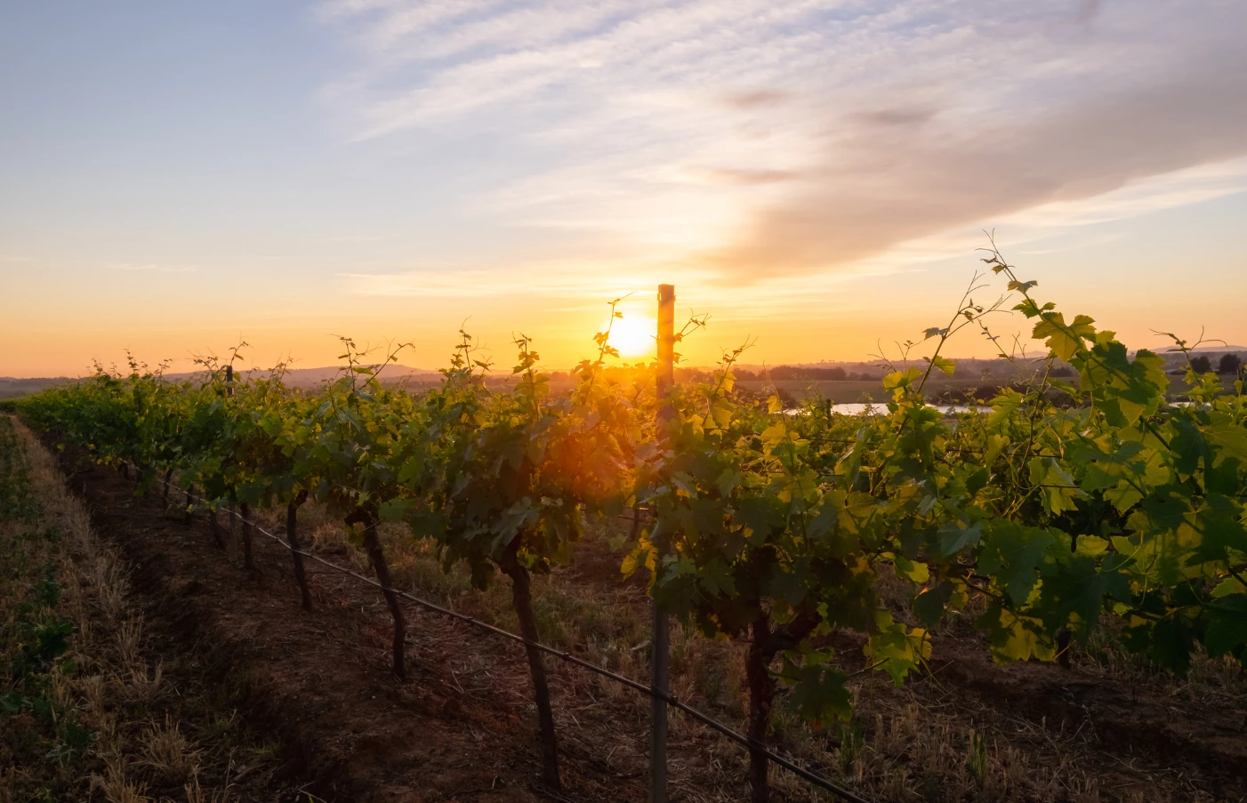 Days 6-8: Hunter Valley 