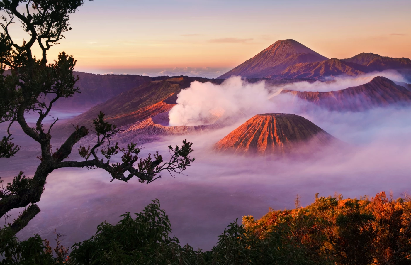 Bali