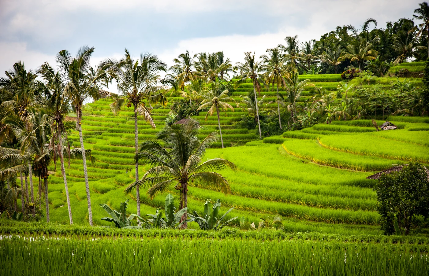 Travel Guides for Indonesia