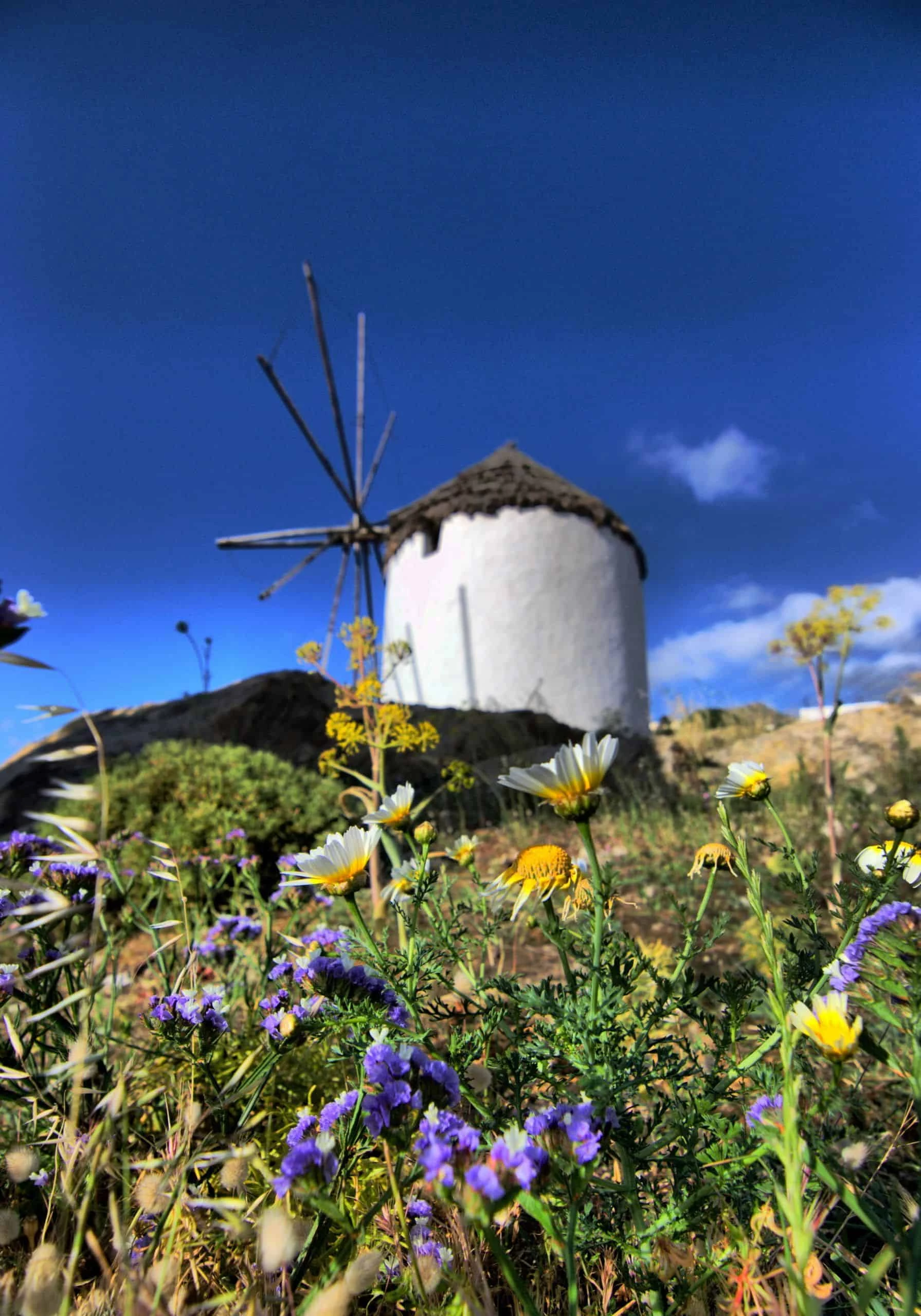 Naxos, Ios and Mykonos