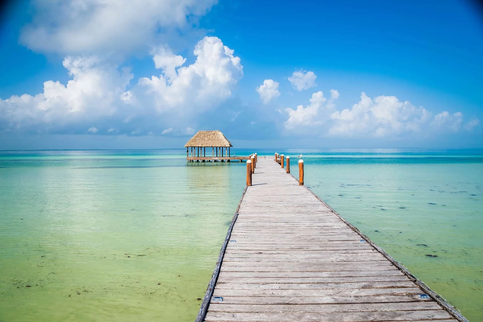 Day 9: To Chichen Itza To Holbox Island