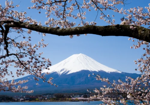 Luxury Vacations to Japan