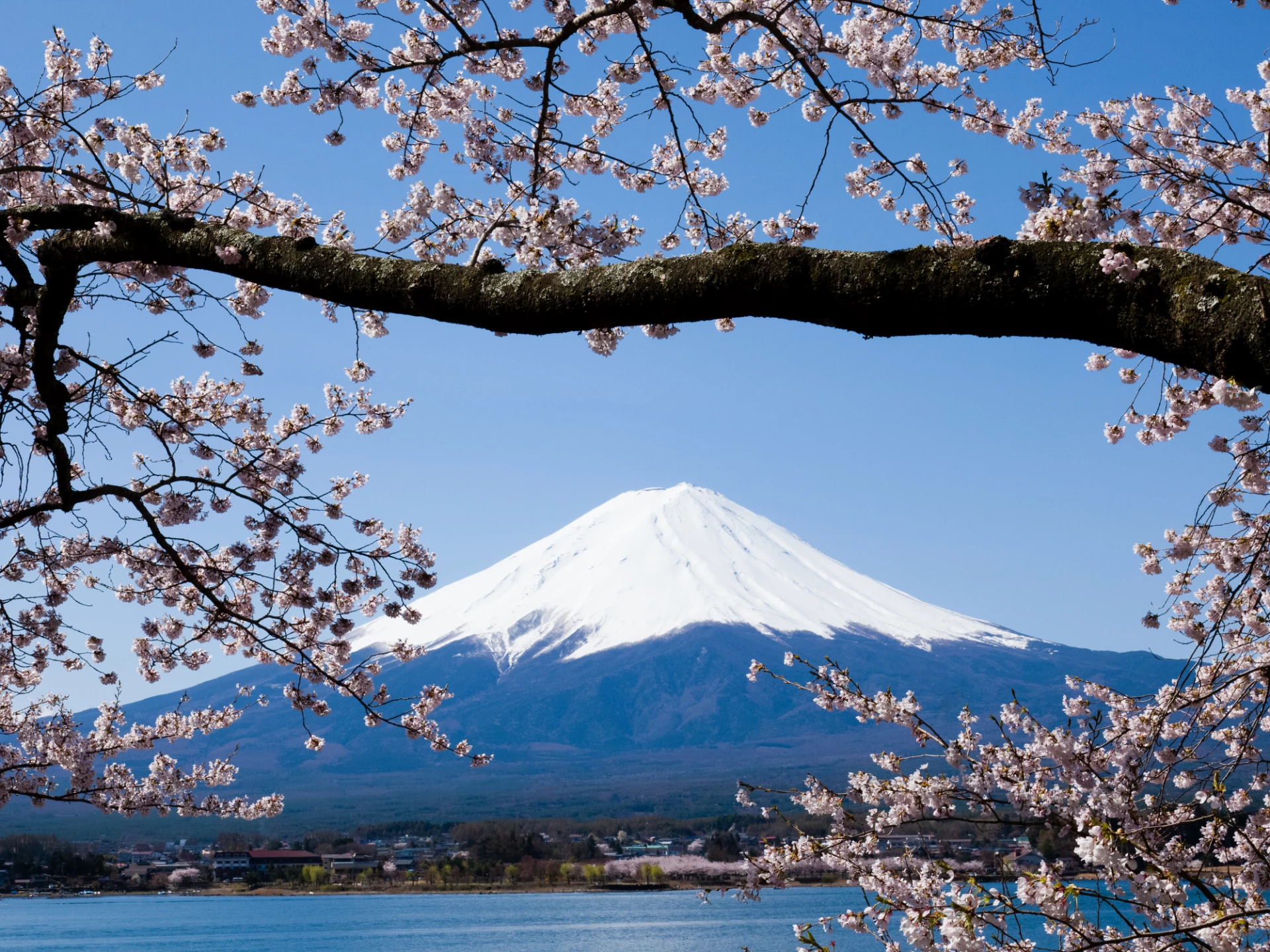 The Best Places to Visit in May