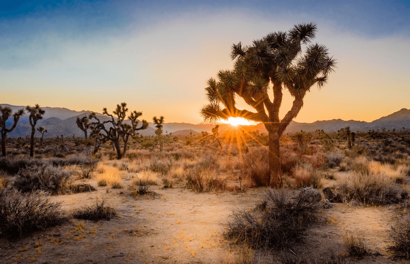 So-Cal Triangle: LA, San Diego, Greater Palm Springs