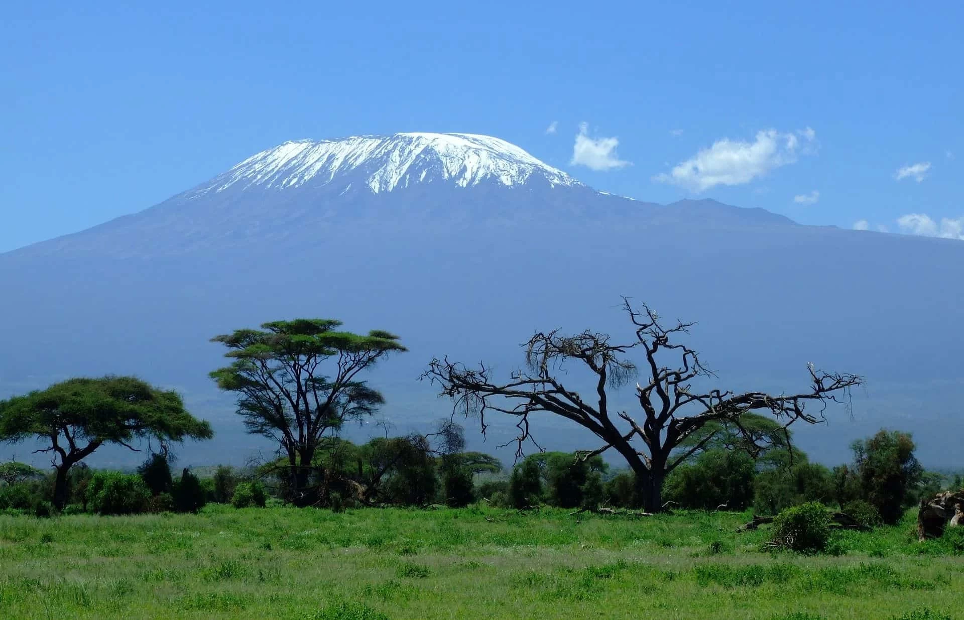 Gay Group Trip: Luxury Rwanda And Tanzania