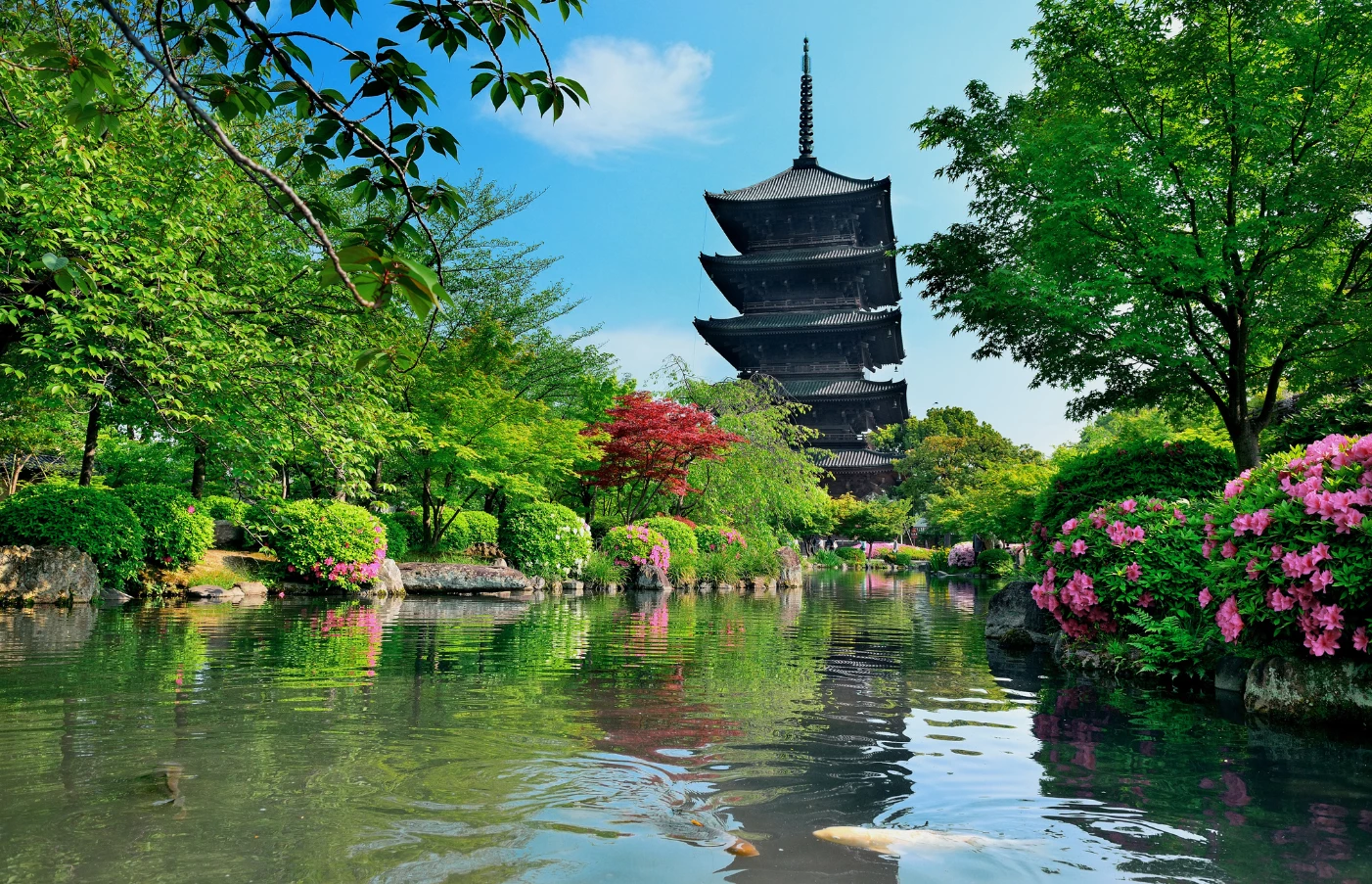 Gay Group Trip: The Mystical & Modern Japan