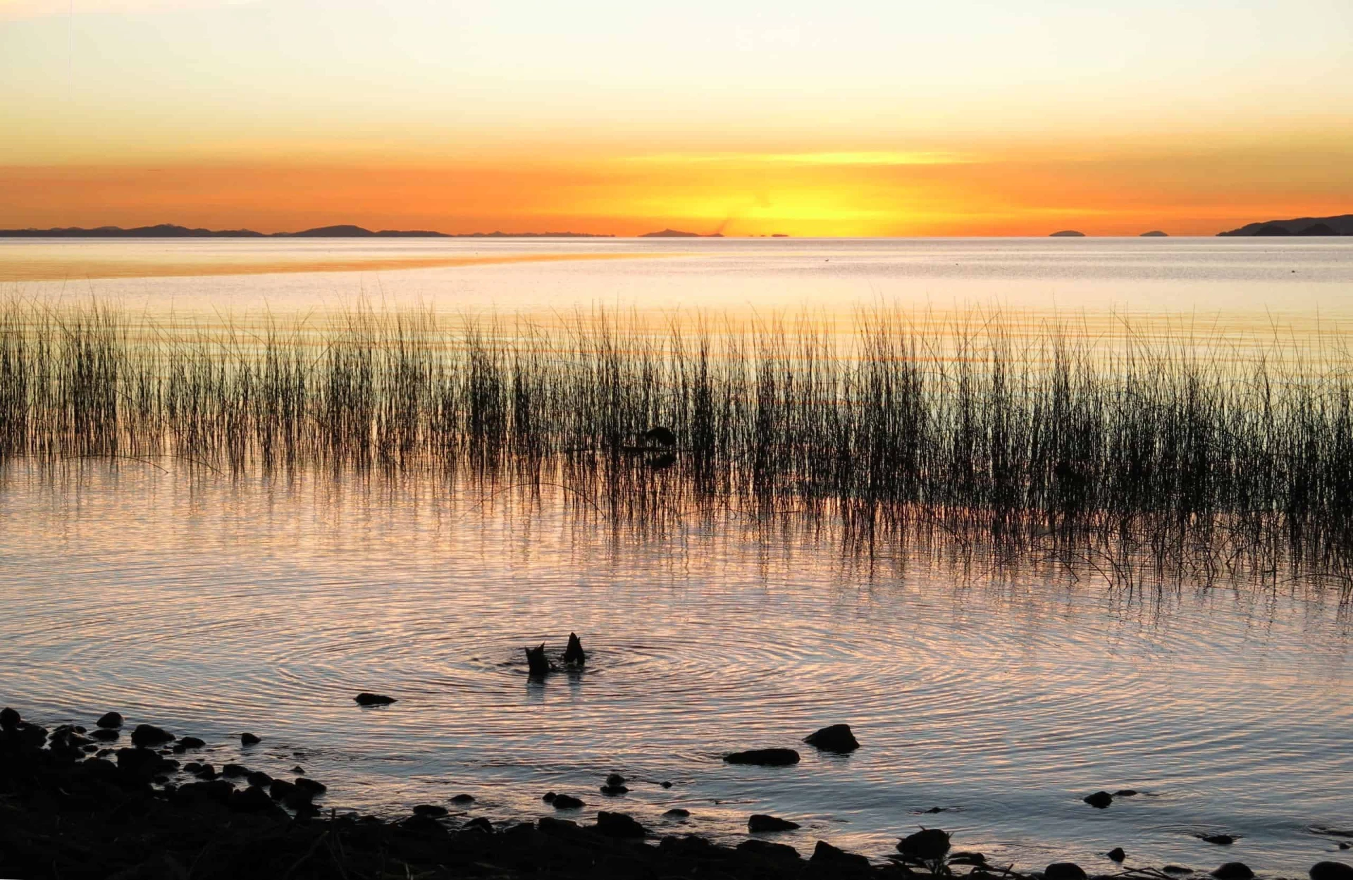 Day 8 To 9: Lake Titicaca