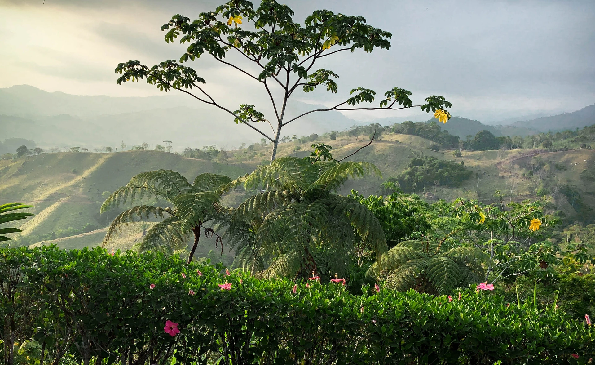 Gay Group Trip: Costa Rica Adventure