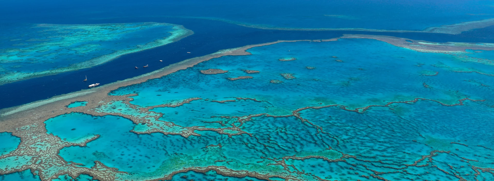 The Great Barrier Reef