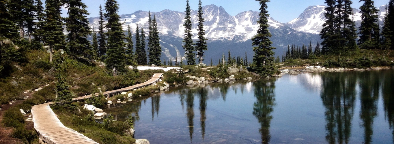 Whistler