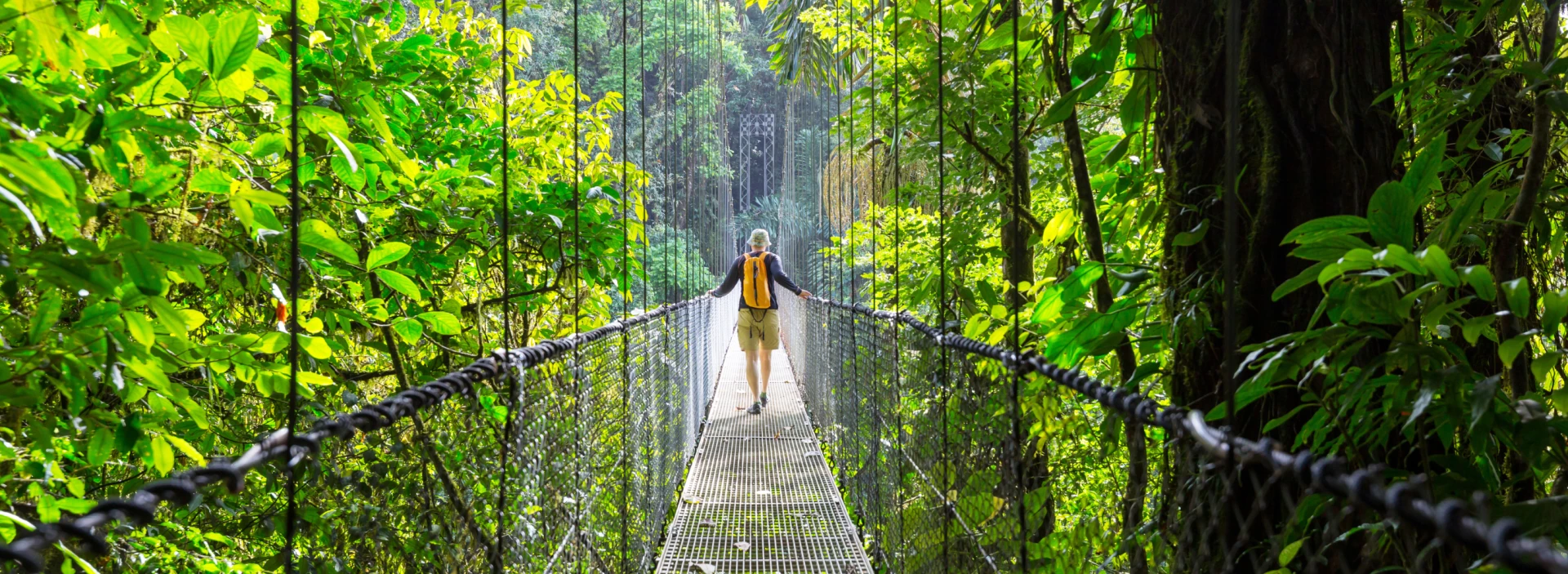 Rainforest Trek