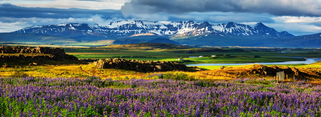 Gay Honeymoons in Iceland