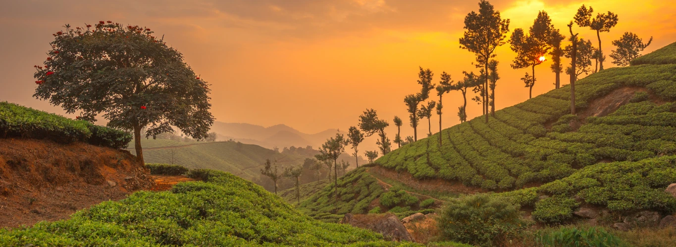 Luxury Luxury Gay Honeymoons in India 2025 & 2026 vacations