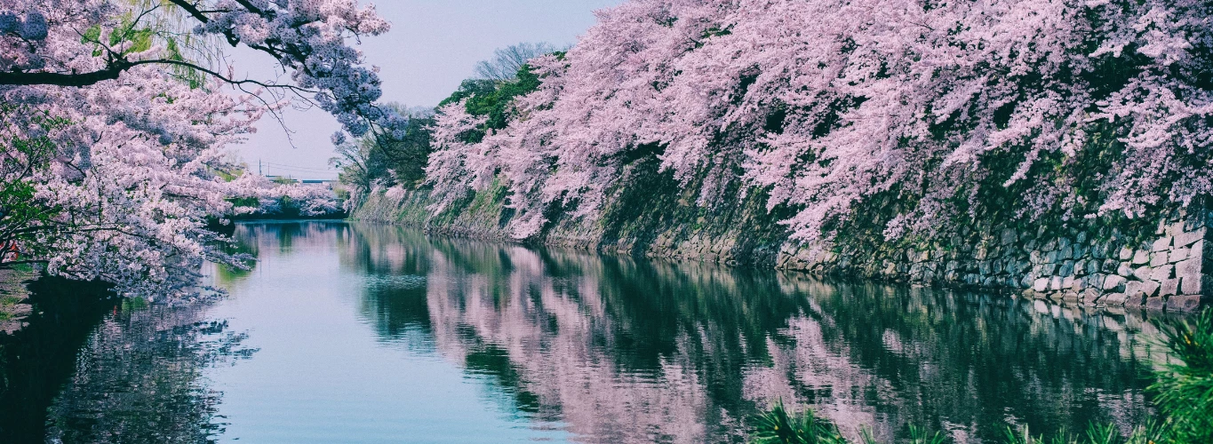 Gay Honeymoons in Japan